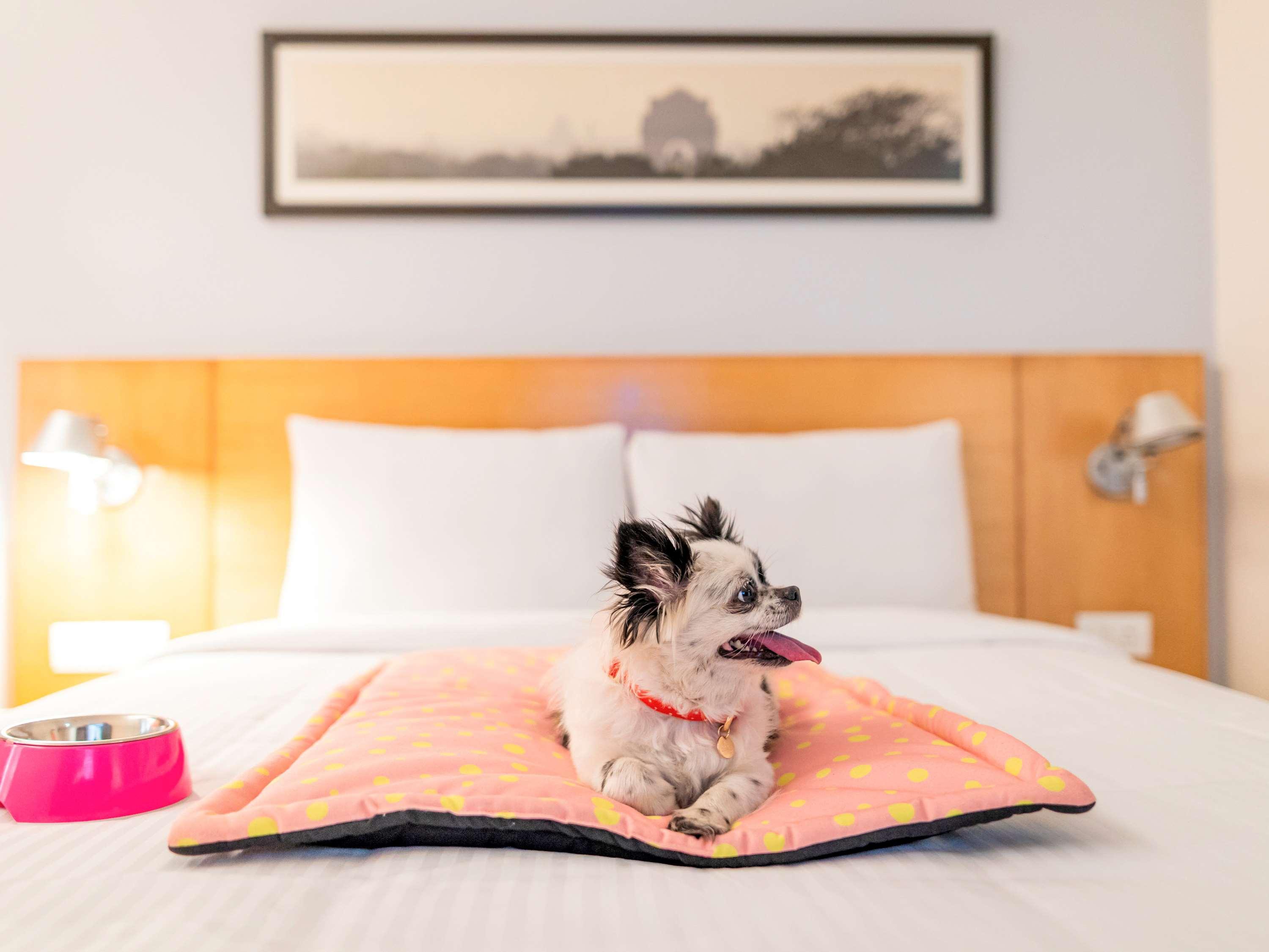Ibis Bengaluru Hosur Road - An Accor Brand Hotel Ngoại thất bức ảnh